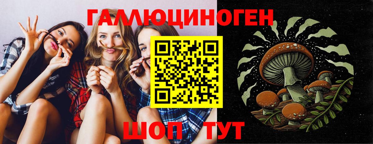 Псилоцибиновые грибы Psilocybine cubensis Ростов-на-Дону